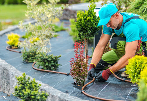 landscaping services repair a sprinkler